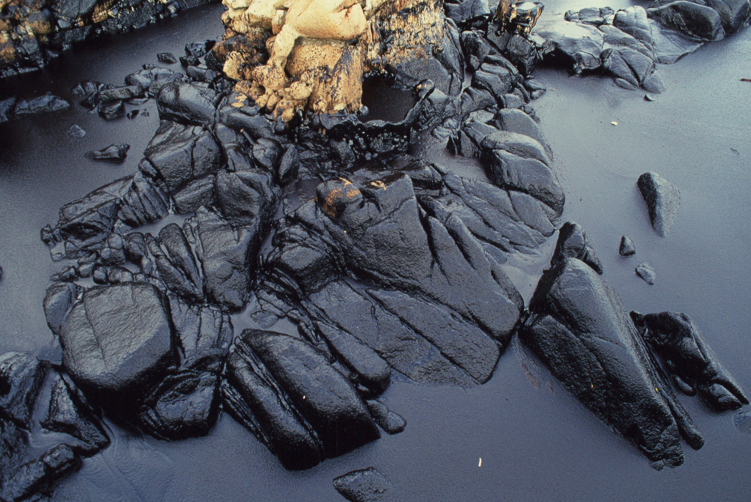 Oil spill of sunken tanker 'Prestige' on the Galician Costa de la Muerte (Death Coast) near Camelle, Spain.