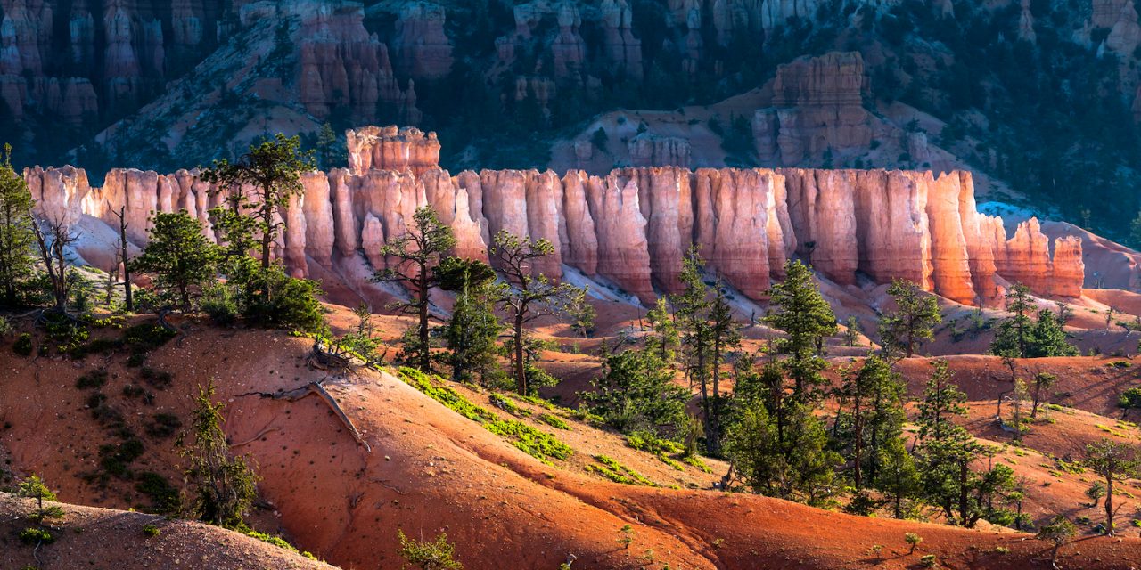 From Acadia to Yellowstone: The Best U.S. National Parks to Visit This Summer