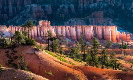 From Acadia to Yellowstone: The Best U.S. National Parks to Visit This Summer