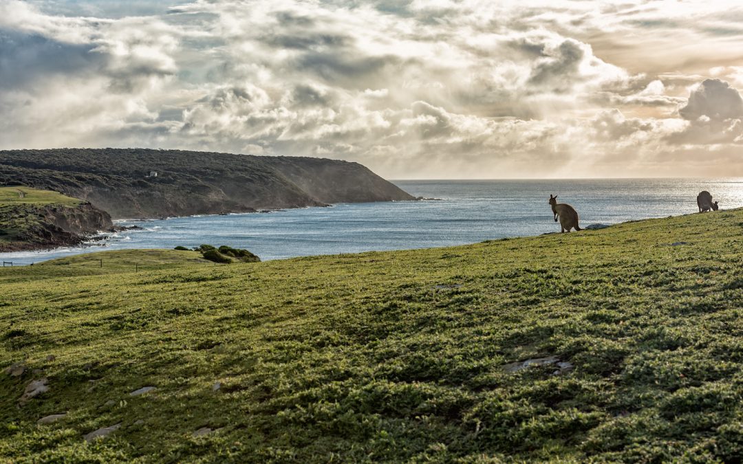 Discover Southern Australia’s Kangaroo Island