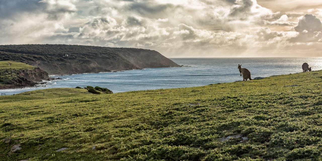 Discover Southern Australia’s Kangaroo Island
