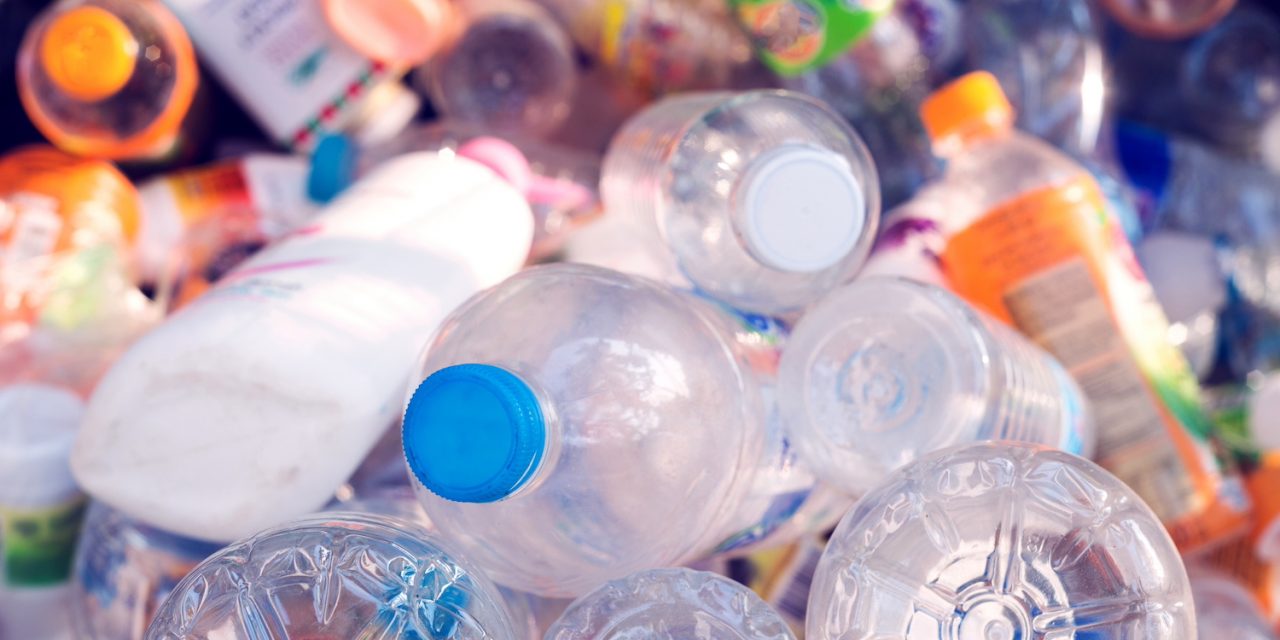 Spotlight on Sustainability: Eco Bricks