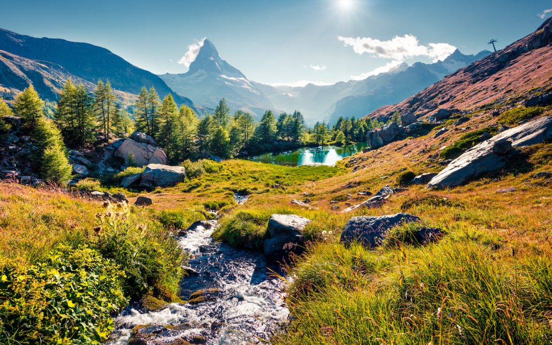 Conservation Success Stories from Switzerland: Rewilding the Alps