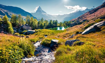 Conservation Success Stories from Switzerland: Rewilding the Alps