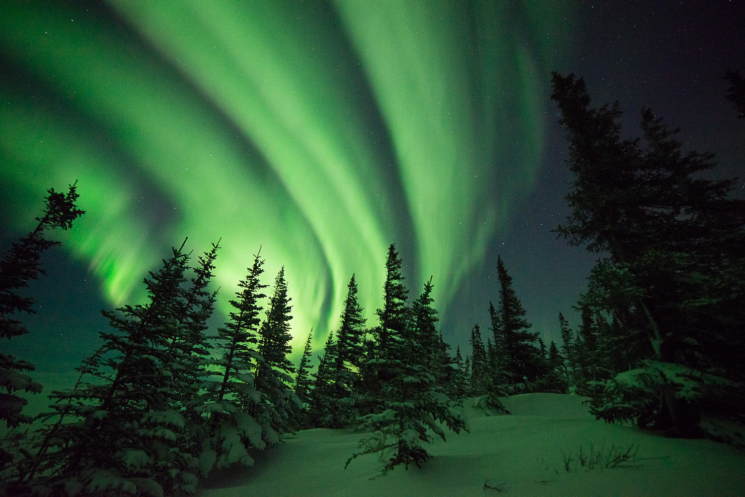 Northern lights in Churchill