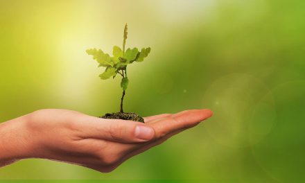 World Environment Day 2022: Defeating Deforestation