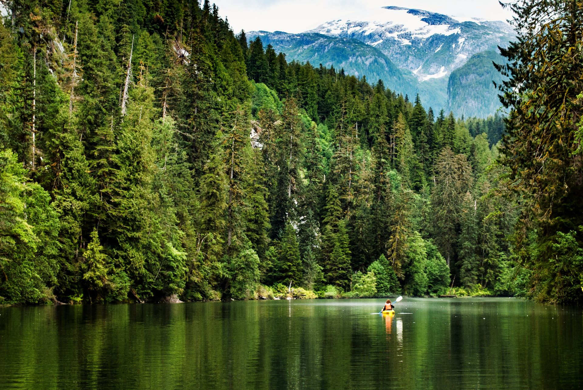 Great Bear Rainforest