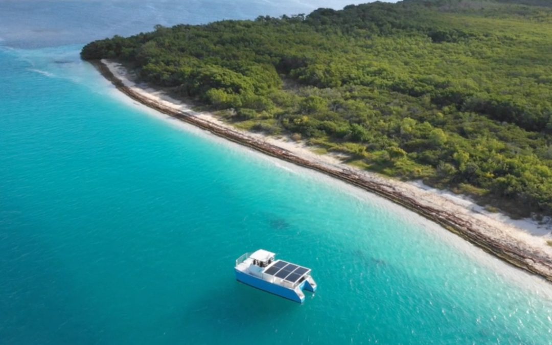 Spot Dolphins in the Sunshine State Aboard the Solar-Powered Boat, SQUID