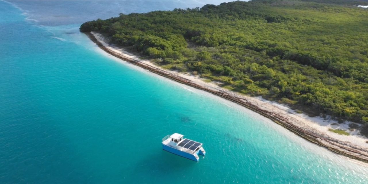 Spot Dolphins in the Sunshine State Aboard the Solar-Powered Boat, SQUID