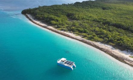 Spot Dolphins in the Sunshine State Aboard the Solar-Powered Boat, SQUID
