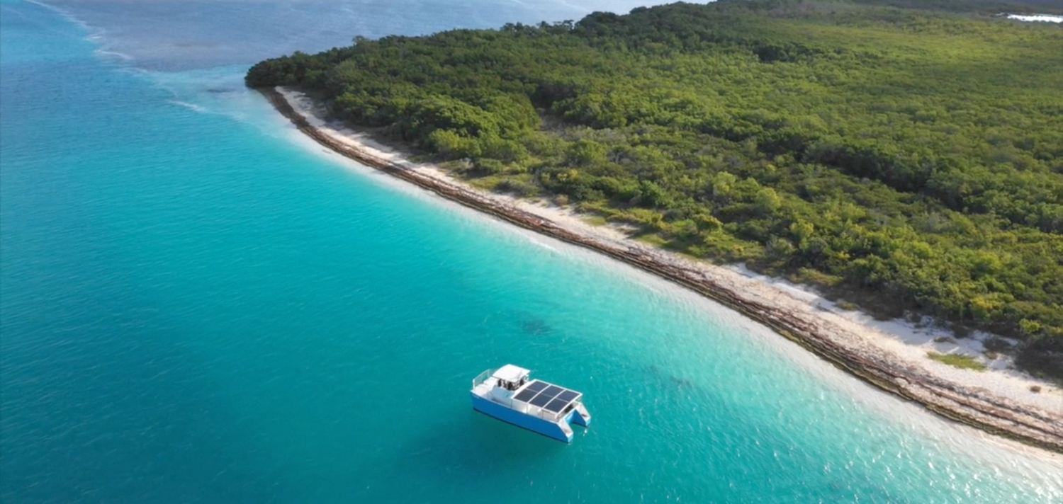 You can see dolphins aboard the boat SQUID in Florida