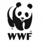WWF