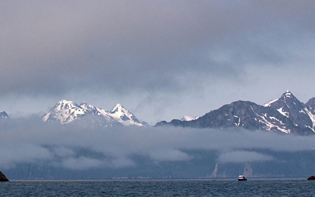 Conservation Win: Alaska Oil and Gas Lease Sale 258 Canceled