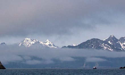 Conservation Win: Alaska Oil and Gas Lease Sale 258 Canceled