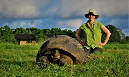 From the Galapagos to Greenland: Animals that Live to 100 or More