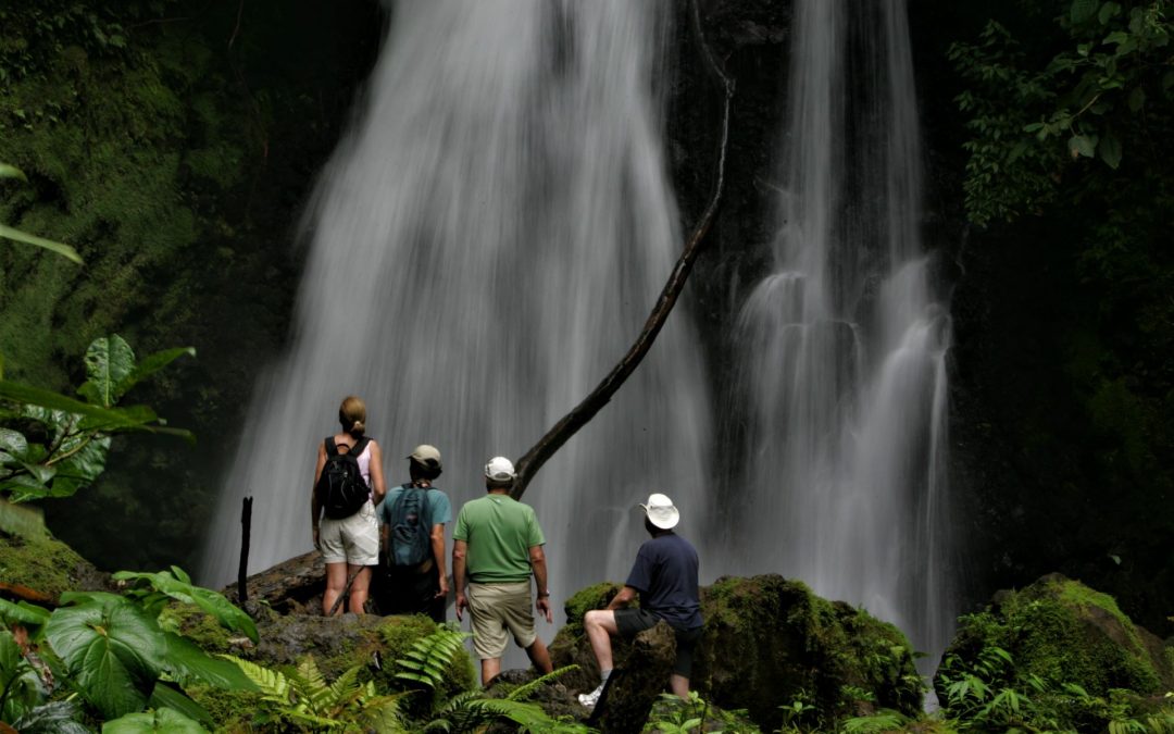 World Rainforest Day