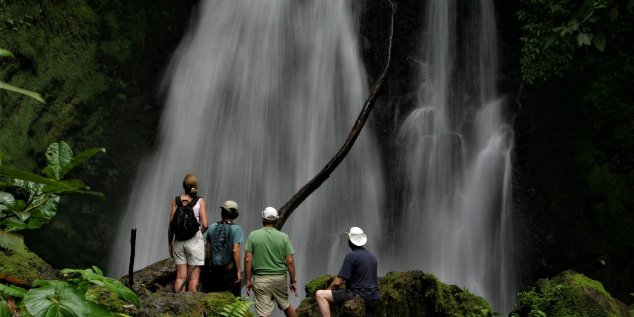 World Rainforest Day