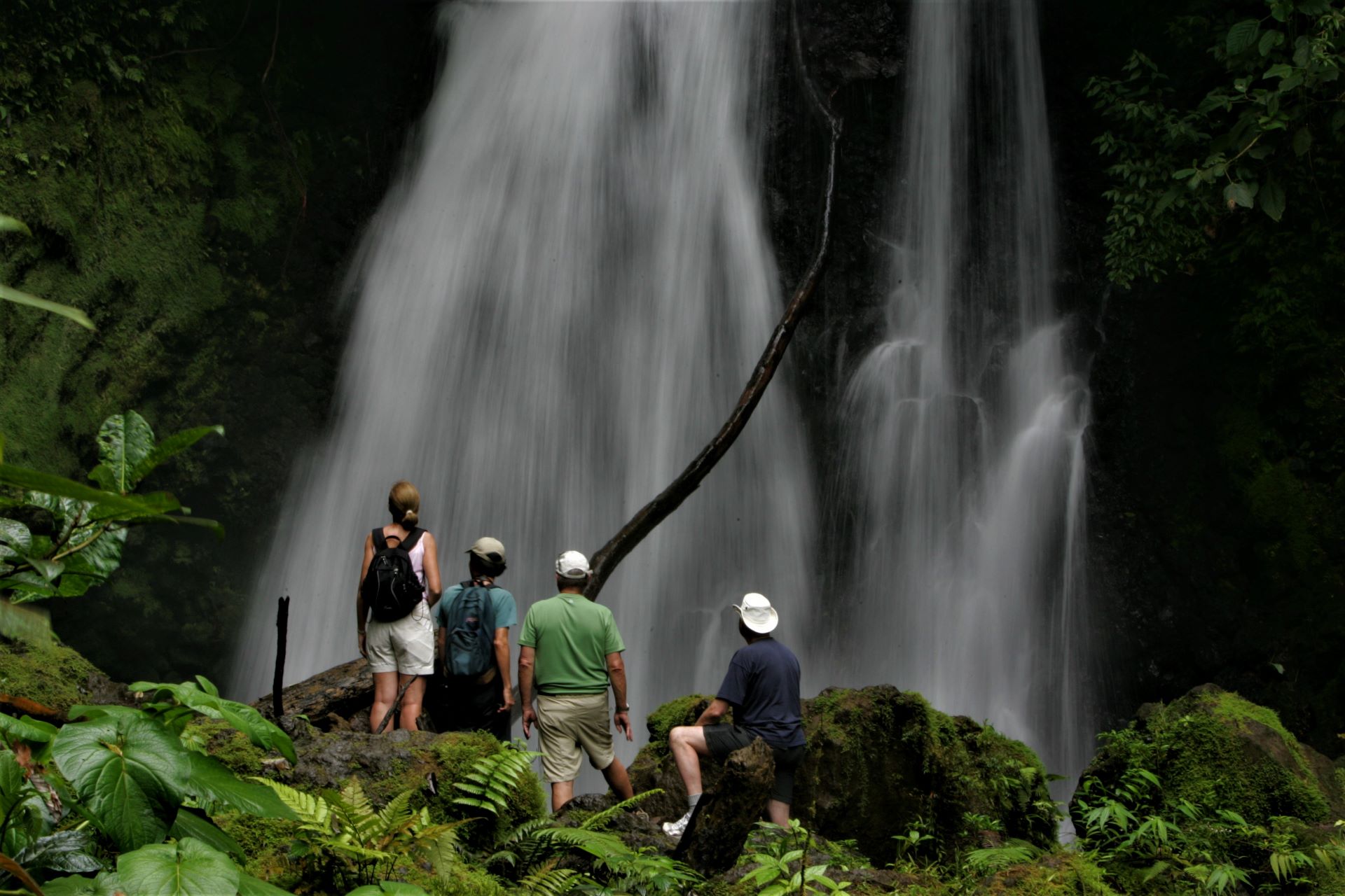 Tourists looking at a water fall in a rainforest