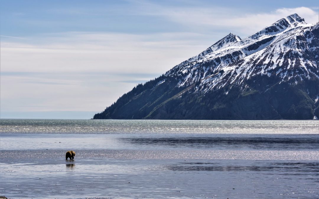 The Homestead History of Nat Hab’s Alaska Bear Camp