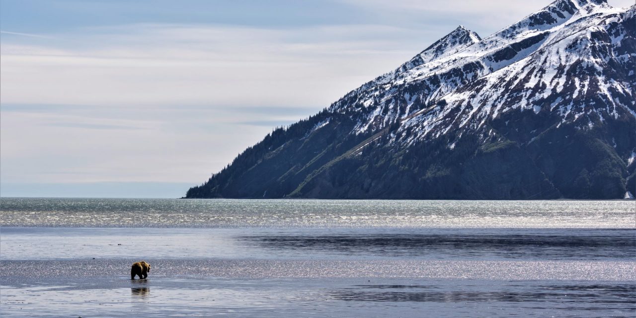 The Homestead History of Nat Hab’s Alaska Bear Camp