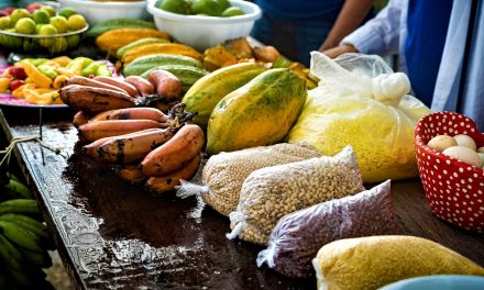 Peruvian Cuisine: Wild Foods of the Amazon