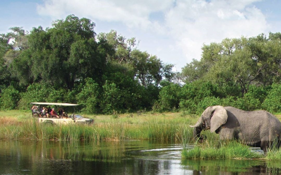 6 Reasons to Go on a Botswana Safari During the Green Season