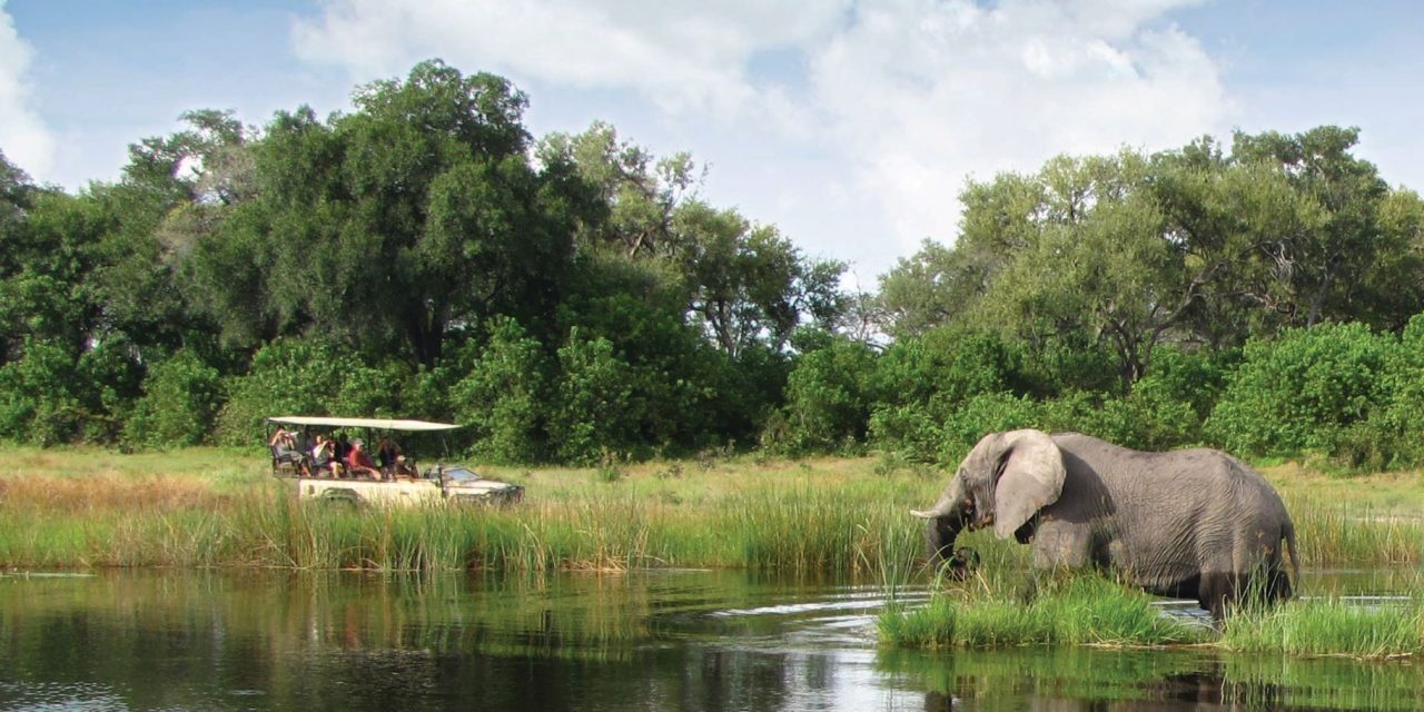 6 Reasons to Go on a Botswana Safari During the Green Season