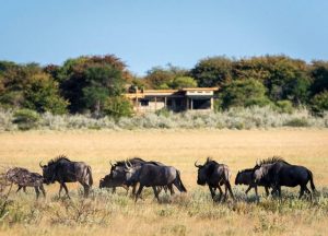 Kalahari Plains Camp, Botswana, Africa