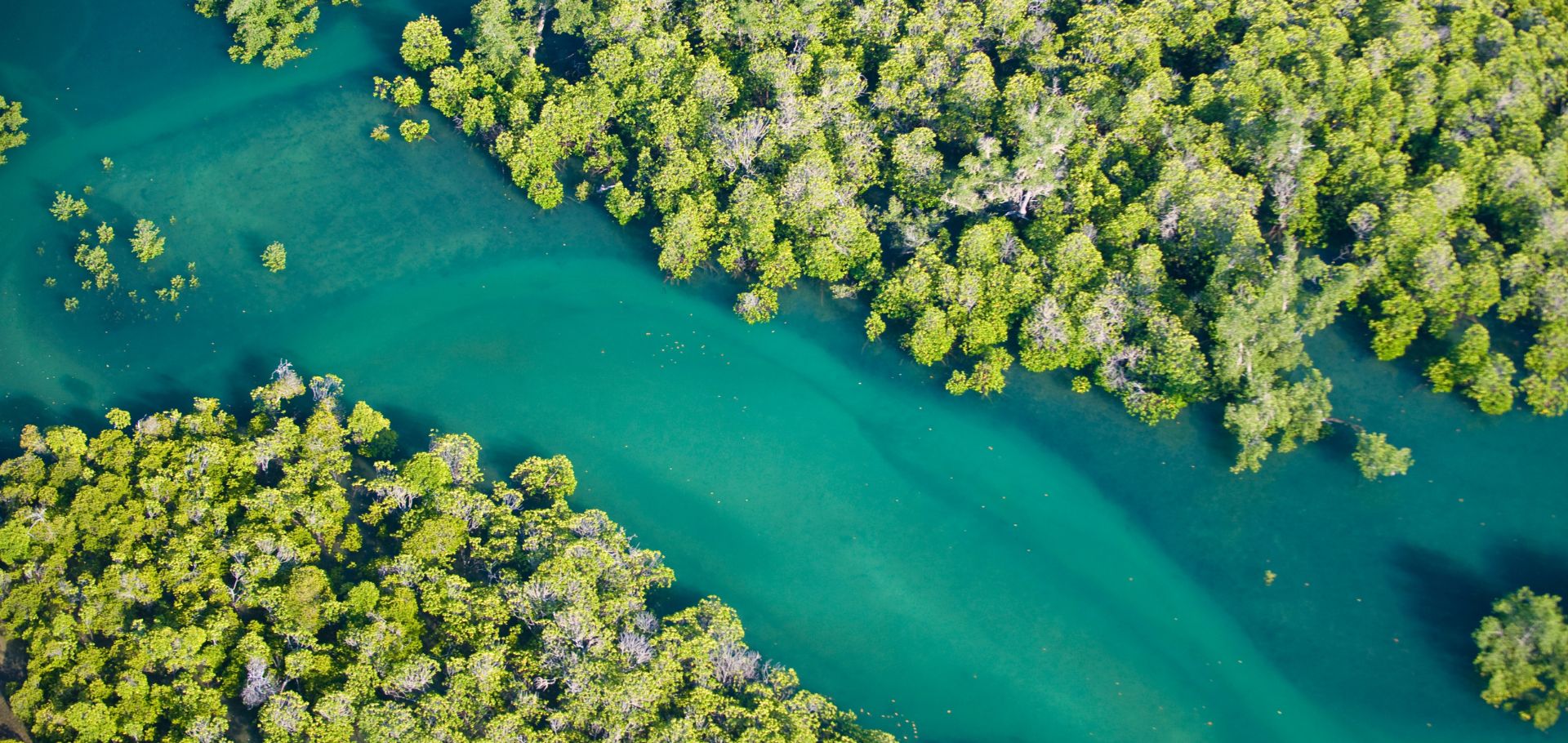 Aerial view of mangroves, Morondava, West Madagascar. November 2008