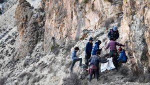 In late April, 2021 a team of 30 members comprising of staff from the Shey Phoksundo National Park, wildlife experts, technicians, and veterinarians from WWF Nepal and the National Trust for Nature Conservation as well as local citizen scientists involved in snow leopard conservation embarked on an expedition to satellite collar two snow leopards in Shey Phoksundo National Park. The expedition was undertaken under the leadership of the Department of National Parks and Wildlife Conservation, with financial and technical support from WWF Nepal and the National Trust for Nature Conservation. The team successfully collared two snow leopards on May 19, 2021 in the Rapka area of Saldang, and on May 25, 2021 in the Dhora area of Saldang. The GPS collar connected to the snow leopards periodically transmits the location of the animals providing invaluable information on the animal’s habitat, their spatial behavior, as well as transboundary movement patterns, contributing towards conservation planning for the species through habitat management, conflict mitigation or otherwise. The science derived from collaring expeditions such these are critical in strengthening conservation and management in the Western Himalayan Snow Leopard Landscape, a region known to have the highest snow leopard density in Nepal.