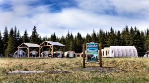 Bear camp owned by Nature Habitat Adventures.