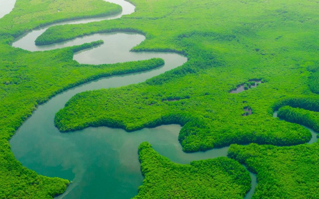 How the Inflation Reduction Act Spells Hope for the Environment