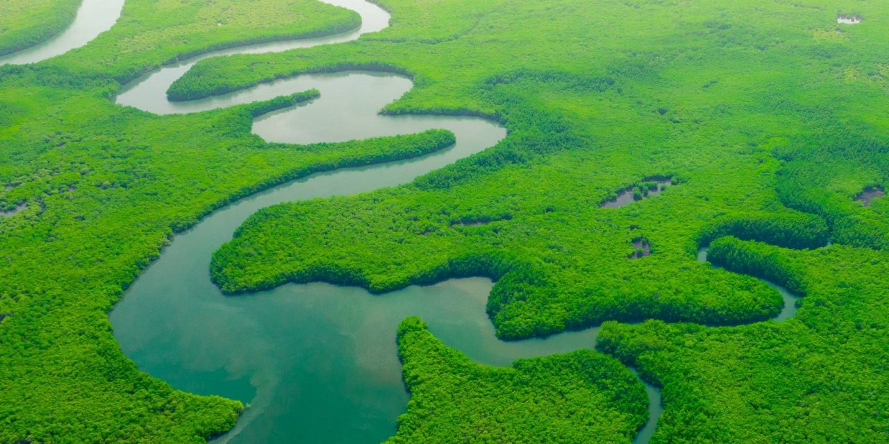 How the Inflation Reduction Act Spells Hope for the Environment