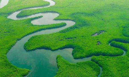 How the Inflation Reduction Act Spells Hope for the Environment