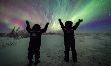 Northern Lights, Sun Dogs and Fire Rainbows: 5 Optical Phenomena and How to See Them