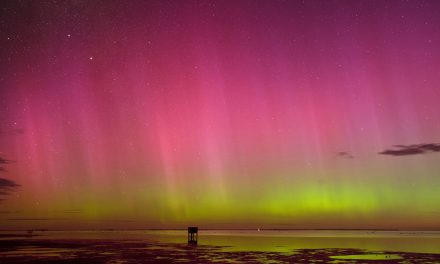 The Spectacular Auroras of Tasmania: Legends and Lights