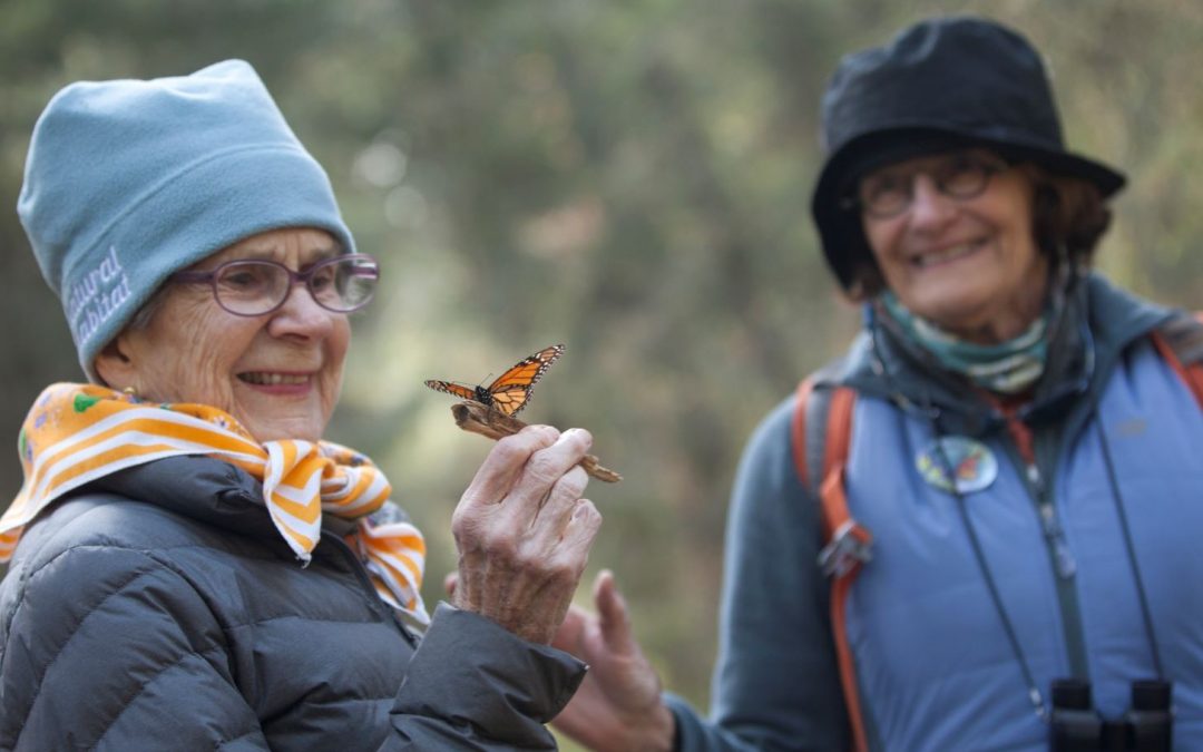 Traveler Voices: What Guests Are Saying About Their Recent Adventures