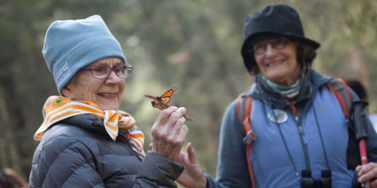 Nature as a Multivitamin: How to Get Your Daily Dose