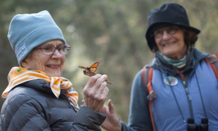 Nature as a Multivitamin: How to Get Your Daily Dose