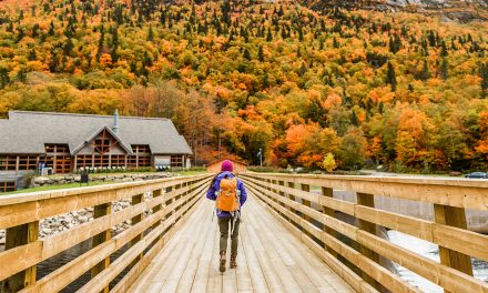 8 Fall Foliage Autumn Adventures