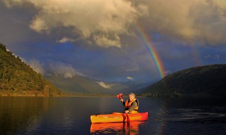 Reasons to Travel Solo with Natural Habitat Adventures