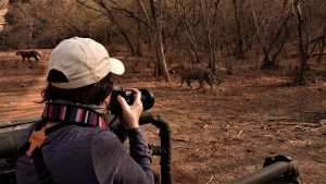 A traveler taking a picture of a Tiger in India on a NatHab trip.
