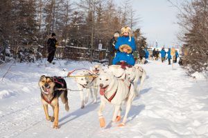 Dog Sledding at Wapusk Adventures in Churchill Manitoba by Daniel Raiti