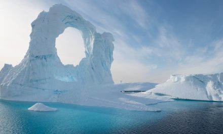 Sailing South: Five Famous Antarctic Expeditions