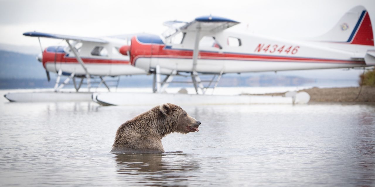 5 Memorable Ways to Explore Alaska by Air, Land and Sea