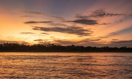 Parallels of the Pantanal and the Northern Great Plains