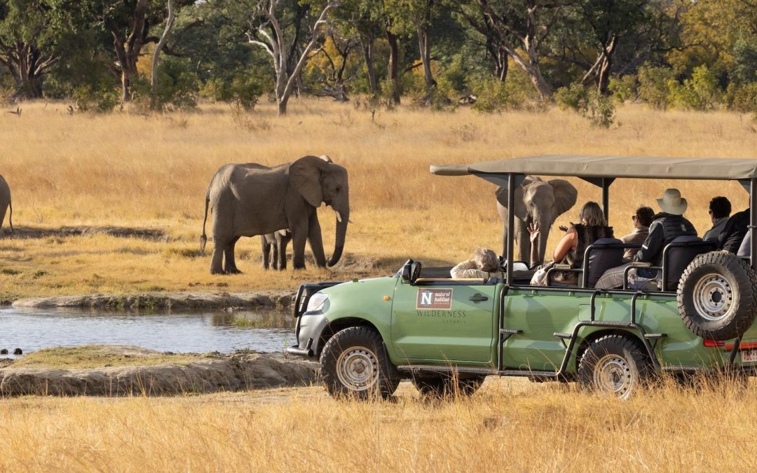 Why a Private Trip May Be Right For You