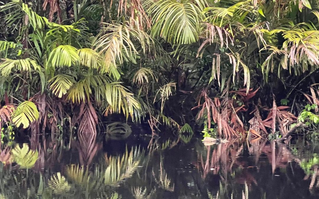 Costa Rica’s Natural AND Cultural Beauty