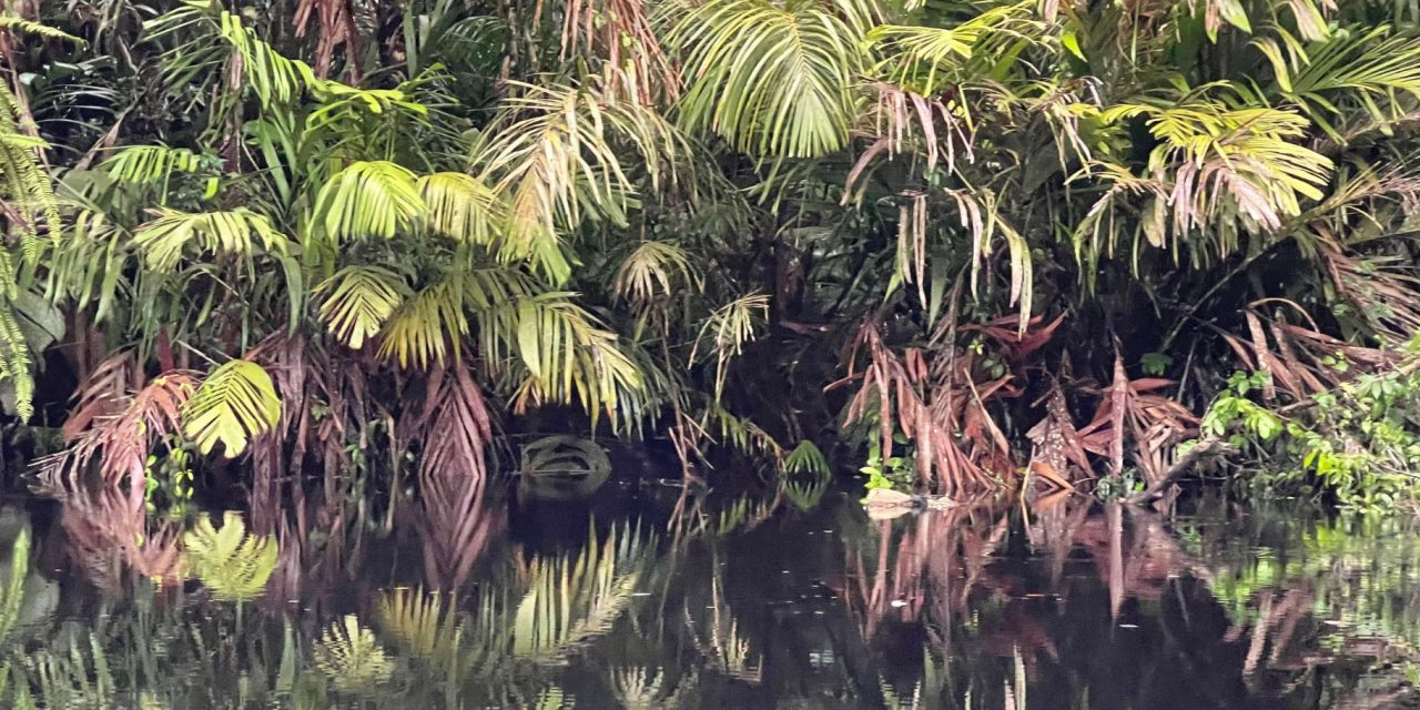 Costa Rica’s Natural AND Cultural Beauty