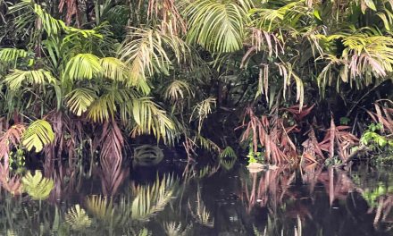 Costa Rica’s Natural AND Cultural Beauty